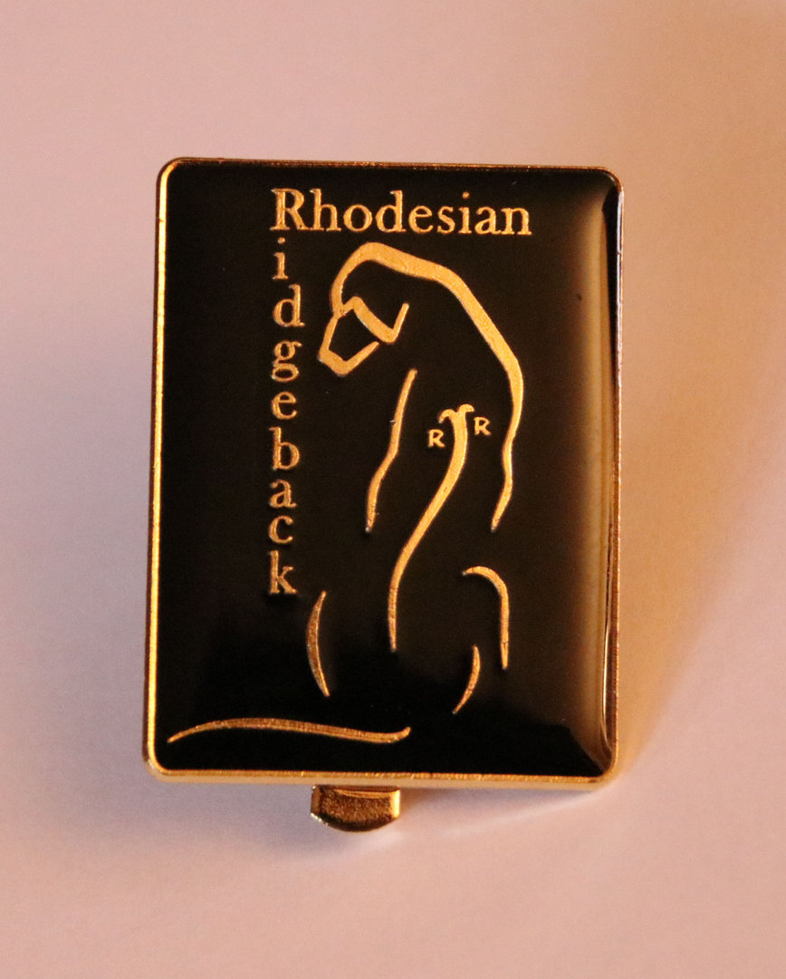 Anstecknadel für Einlaufnummer RR Logo