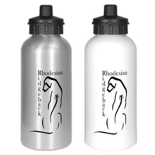 Trinkflasche RR Logo